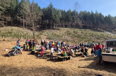 Link zu Foto