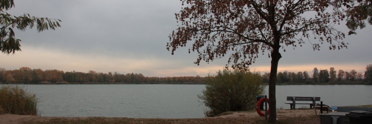 Link zu Foto