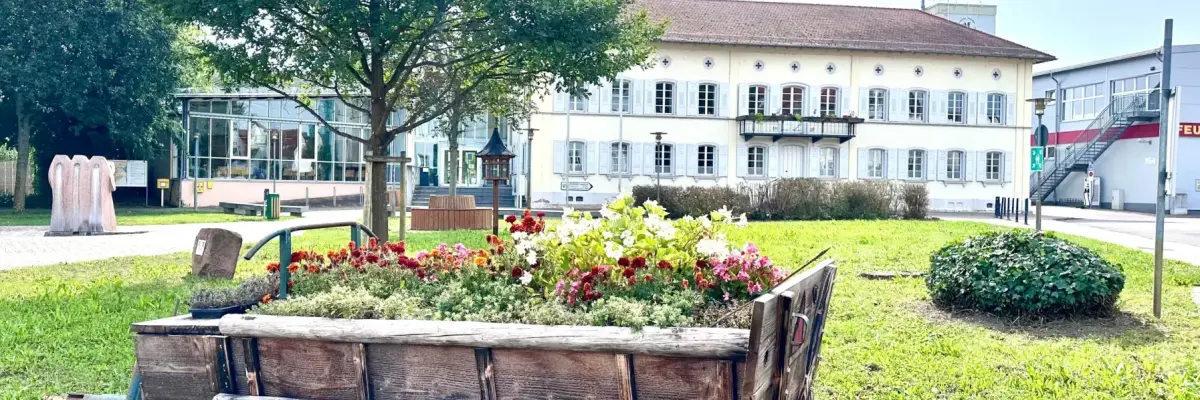 Link zu Foto