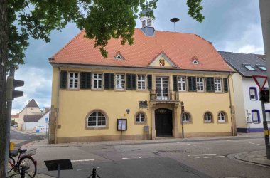 Link zu Foto