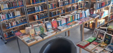 Bücher für Erwachsene