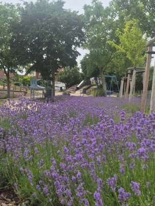 Spielplatz Jahnstrasse