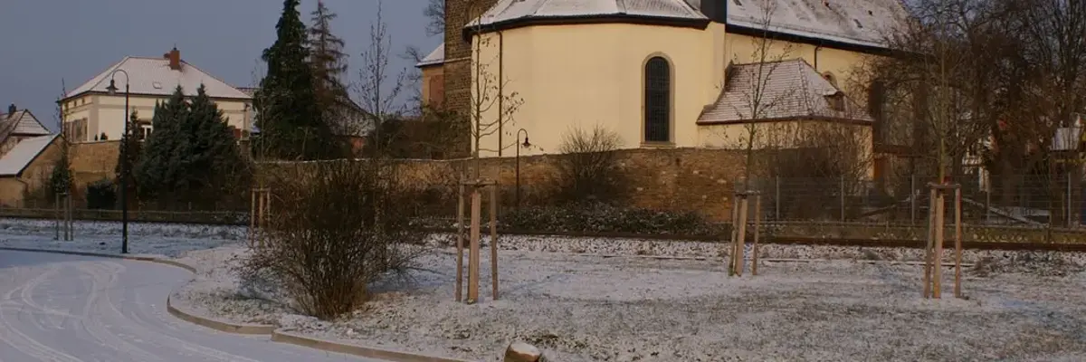 Link zu Foto